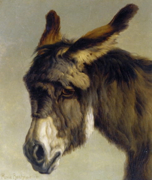 Cabeza de burro (1881). Rosa Bonheur